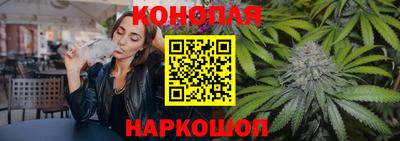 крисы Ипатово