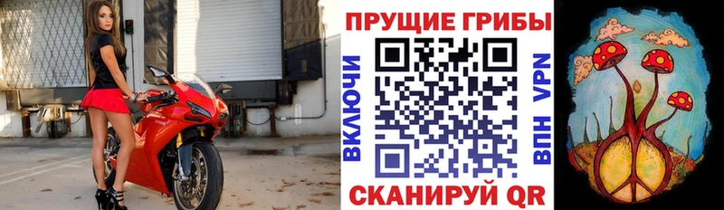 Галлюциногенные грибы мицелий цена наркотик Тобольск