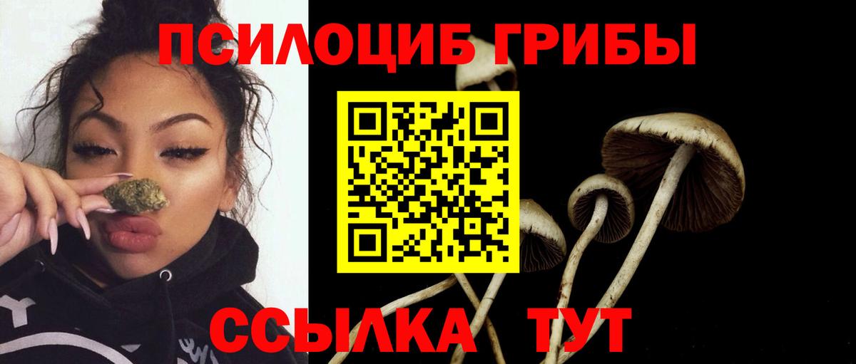 Псилоцибиновые грибы GOLDEN TEACHER  Псилоцибиновые грибы мухоморы  Вход с VPN  Тобольск 